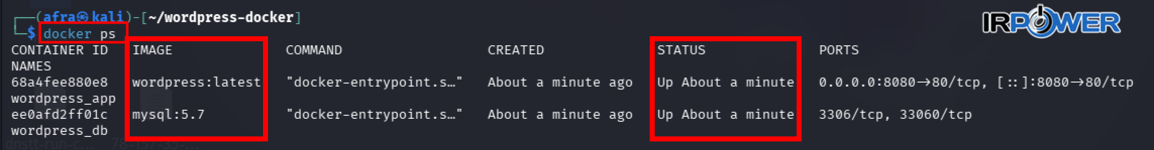 docker ps