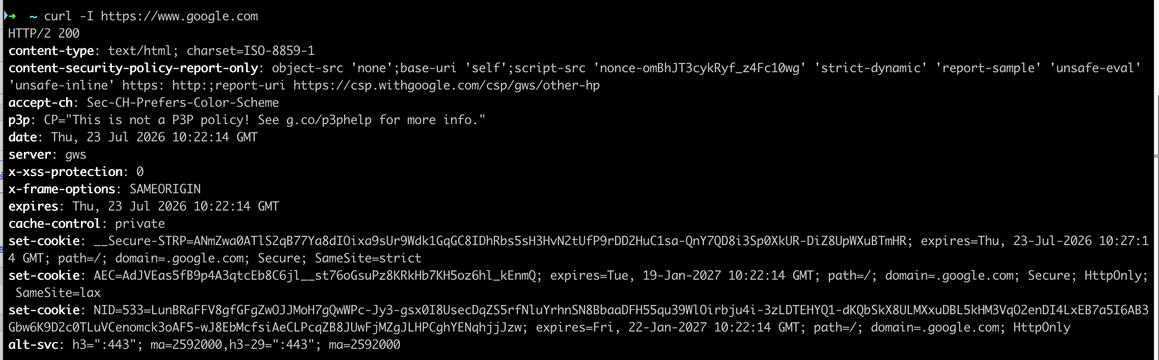 curl+tcpdump